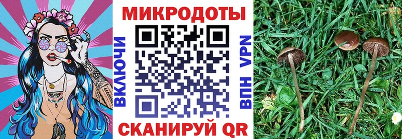 даркнет сайт  МЕГА ТОР  Галлюциногенные грибы GOLDEN TEACHER  Цивильск 